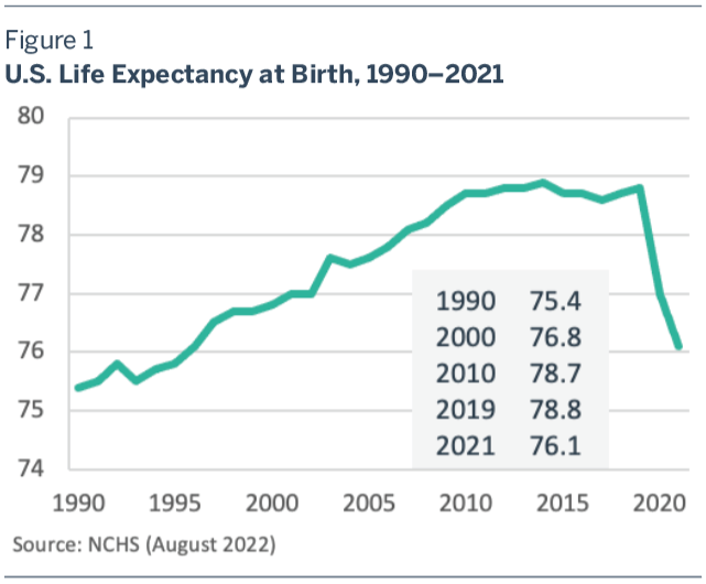 More Grim News on U.S. Life Expectancy | The Terry Group